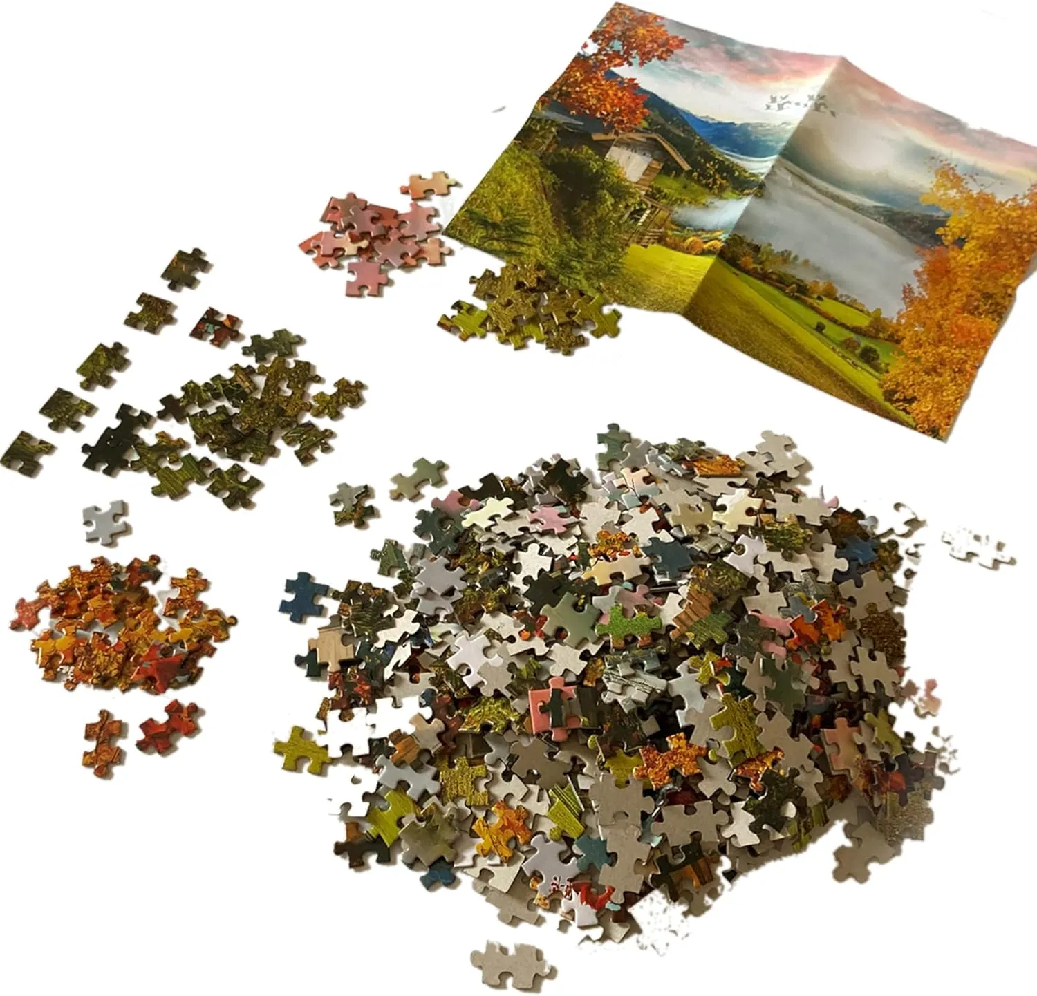 Moruska 500 Pieces Jigsaw Puzzles for Adults Moruska Sunflowers
